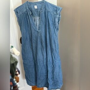 Gap Maternity Denim Dress